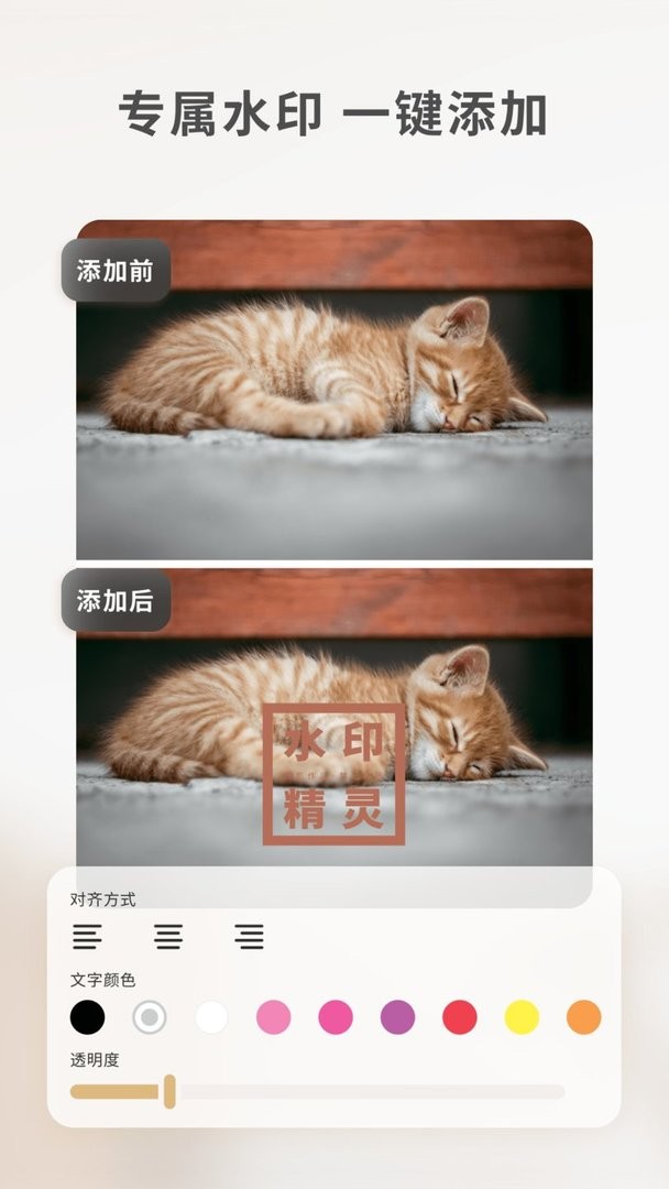 乐其爱水印精灵软件