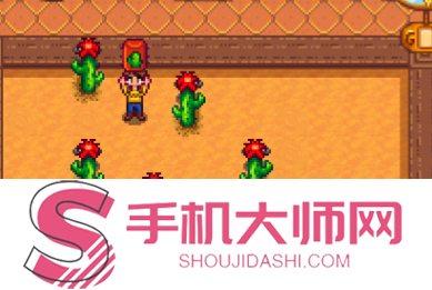 星露谷物语仙人掌有什么用