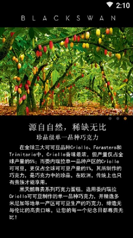 黑天鹅蛋糕外卖app