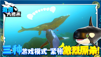 浮生为卿歌新手礼包解析及其玩法优势