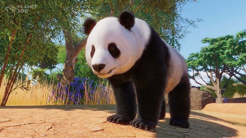 宠物成精啦最新版