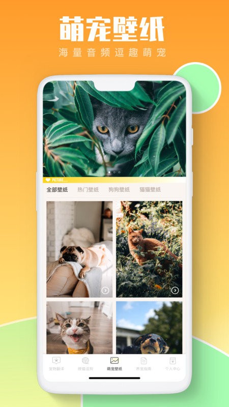 猫咪翻译助手app