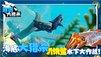 小小军团台服的最新版本内容更新与玩法特点解析