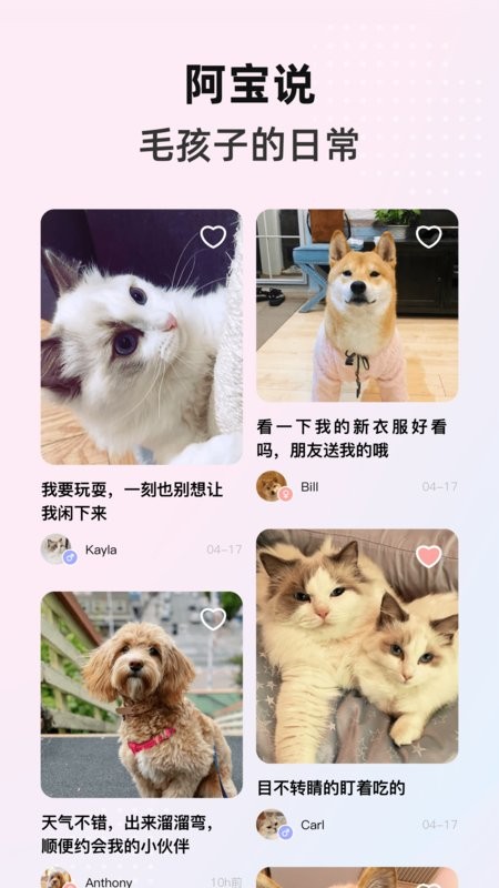 阿宝说宠物软件
