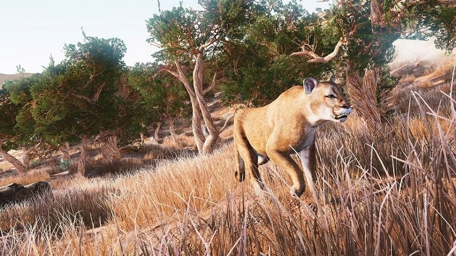 3d丛林狩猎手机版