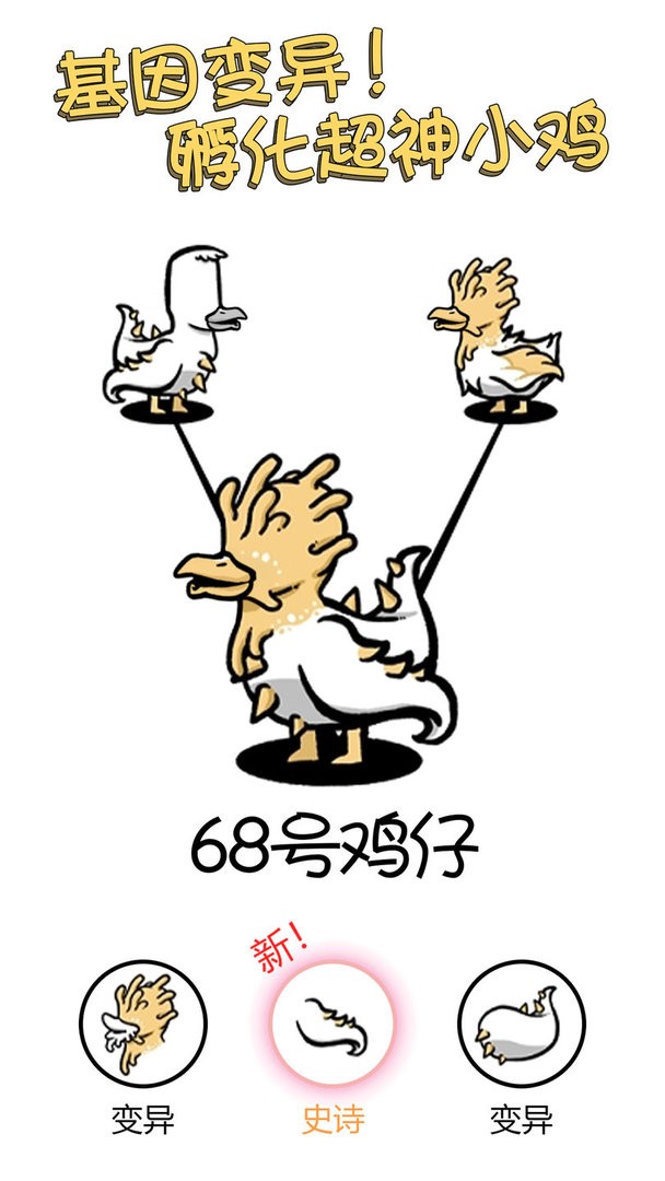 小鸡真奇怪官方版