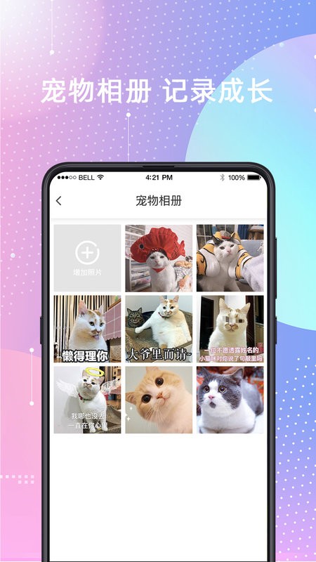 宠物猫狗交流器app